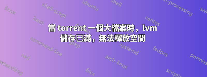 當 torrent 一個大檔案時，lvm 儲存已滿，無法釋放空間