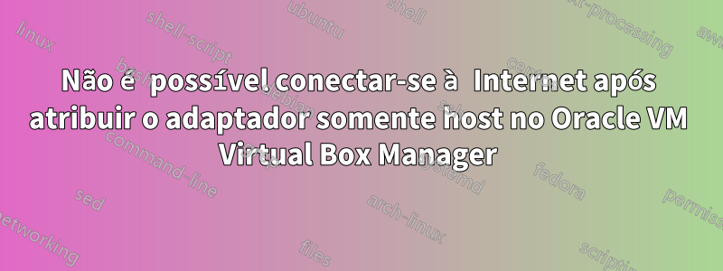 Não é possível conectar-se à Internet após atribuir o adaptador somente host no Oracle VM Virtual Box Manager