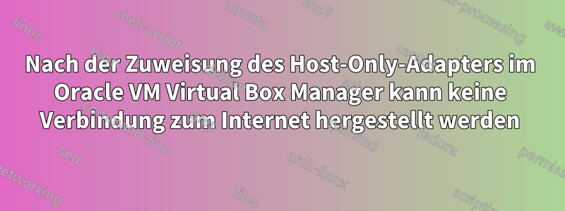 Nach der Zuweisung des Host-Only-Adapters im Oracle VM Virtual Box Manager kann keine Verbindung zum Internet hergestellt werden