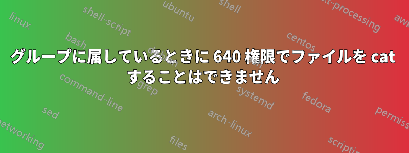 グループに属しているときに 640 権限でファイルを cat することはできません