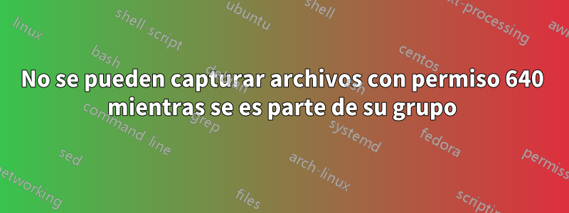 No se pueden capturar archivos con permiso 640 mientras se es parte de su grupo