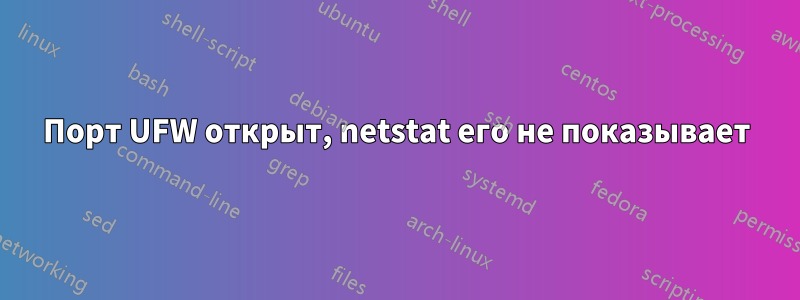 Порт UFW открыт, netstat его не показывает