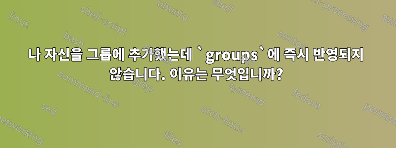 나 자신을 그룹에 추가했는데 `groups`에 즉시 반영되지 않습니다. 이유는 무엇입니까?