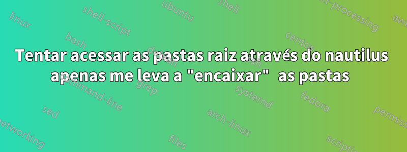 Tentar acessar as pastas raiz através do nautilus apenas me leva a "encaixar" as pastas 