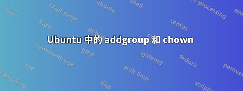 Ubuntu 中的 addgroup 和 chown