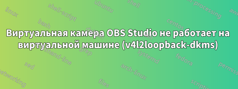 Виртуальная камера OBS Studio не работает на виртуальной машине (v4l2loopback-dkms)