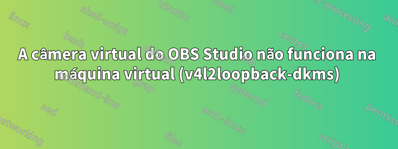 A câmera virtual do OBS Studio não funciona na máquina virtual (v4l2loopback-dkms)