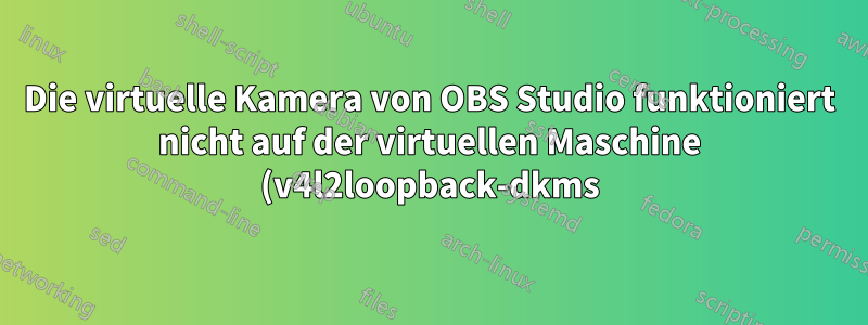 Die virtuelle Kamera von OBS Studio funktioniert nicht auf der virtuellen Maschine (v4l2loopback-dkms)