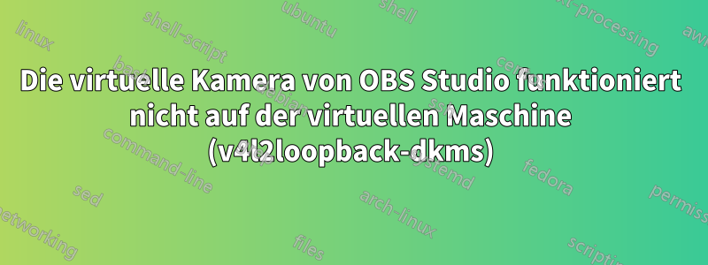 Die virtuelle Kamera von OBS Studio funktioniert nicht auf der virtuellen Maschine (v4l2loopback-dkms)