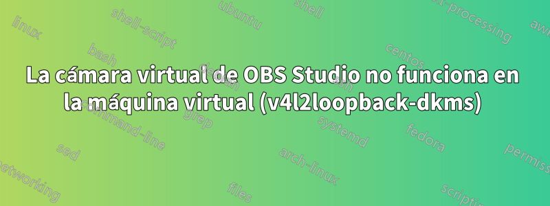 La cámara virtual de OBS Studio no funciona en la máquina virtual (v4l2loopback-dkms)