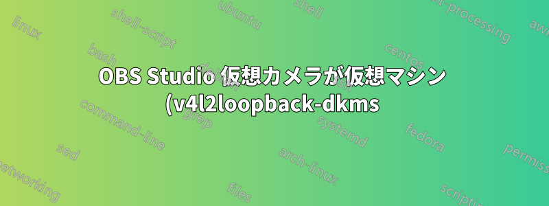 OBS Studio 仮想カメラが仮想マシン (v4l2loopback-dkms) で動作しない