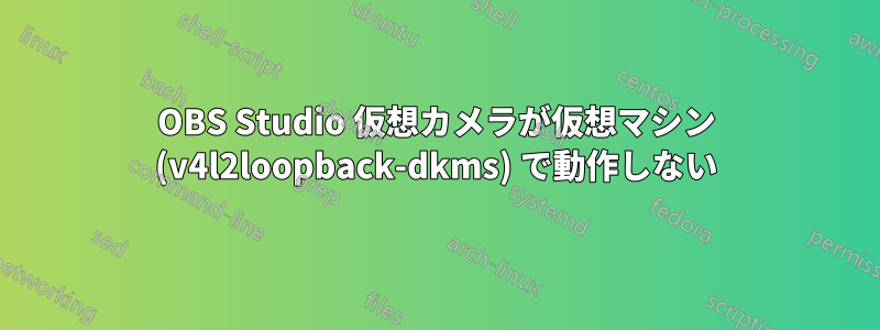 OBS Studio 仮想カメラが仮想マシン (v4l2loopback-dkms) で動作しない