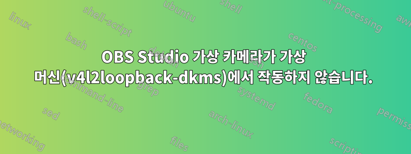 OBS Studio 가상 카메라가 가상 머신(v4l2loopback-dkms)에서 작동하지 않습니다.