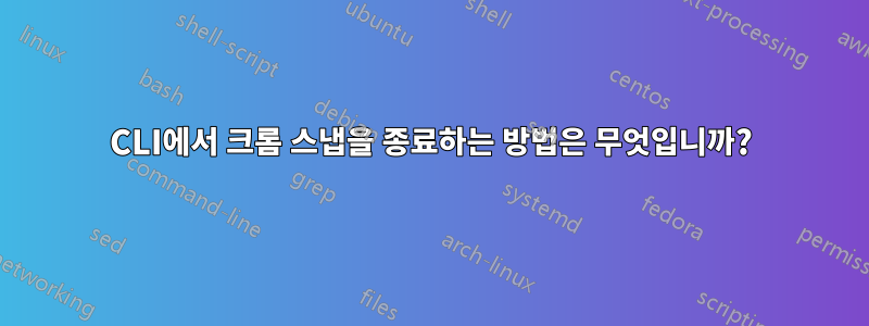 CLI에서 크롬 스냅을 종료하는 방법은 무엇입니까?