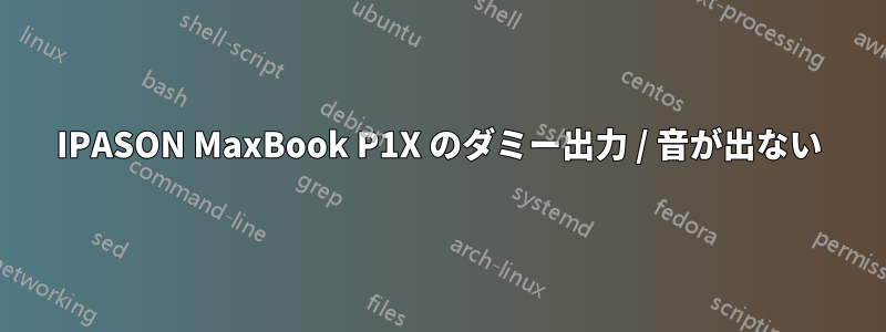 IPASON MaxBook P1X のダミー出力 / 音が出ない