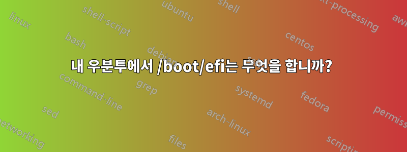 내 우분투에서 /boot/efi는 무엇을 합니까?