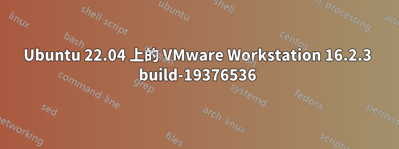 Ubuntu 22.04 上的 VMware Workstation 16.2.3 build-19376536