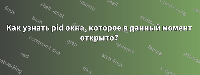 Как узнать pid окна, которое в данный момент открыто?