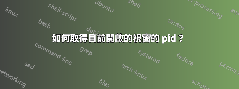 如何取得目前開啟的視窗的 pid？