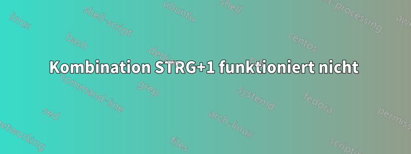 Kombination STRG+1 funktioniert nicht