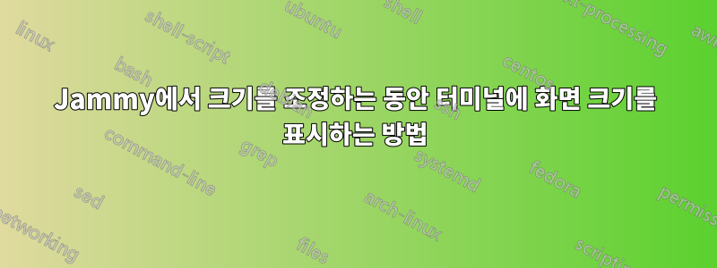 Jammy에서 크기를 조정하는 동안 터미널에 화면 크기를 표시하는 방법