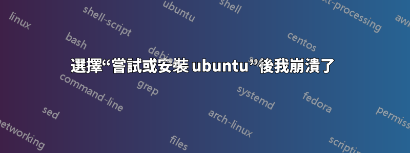 選擇“嘗試或安裝 ubuntu”後我崩潰了