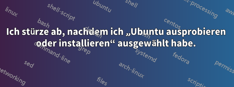 Ich stürze ab, nachdem ich „Ubuntu ausprobieren oder installieren“ ausgewählt habe.