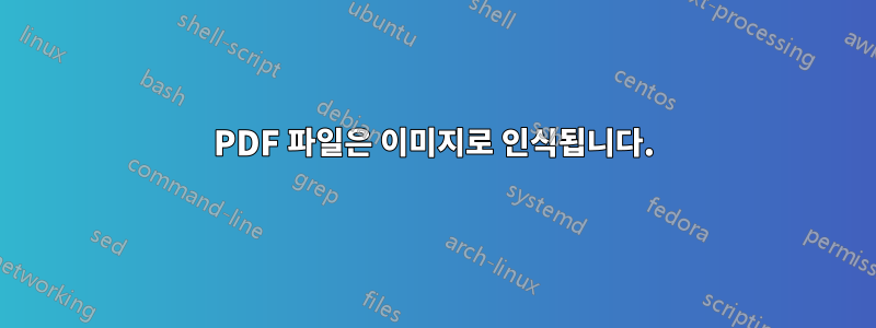 PDF 파일은 이미지로 인식됩니다.