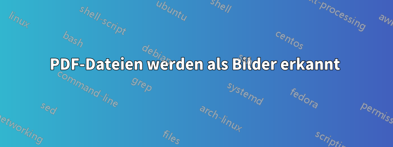 PDF-Dateien werden als Bilder erkannt