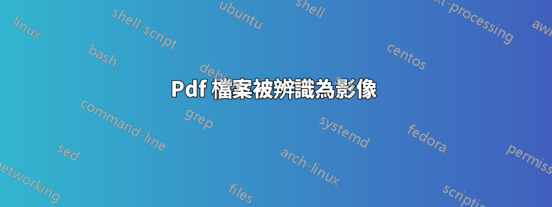 Pdf 檔案被辨識為影像