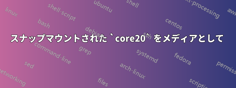 スナップマウントされた `core20` をメディアとして