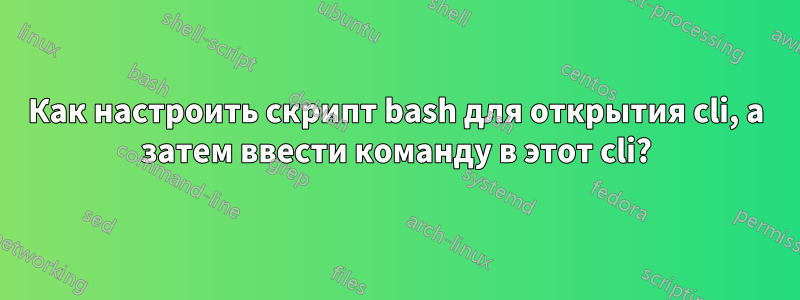 Как настроить скрипт bash для открытия cli, а затем ввести команду в этот cli?