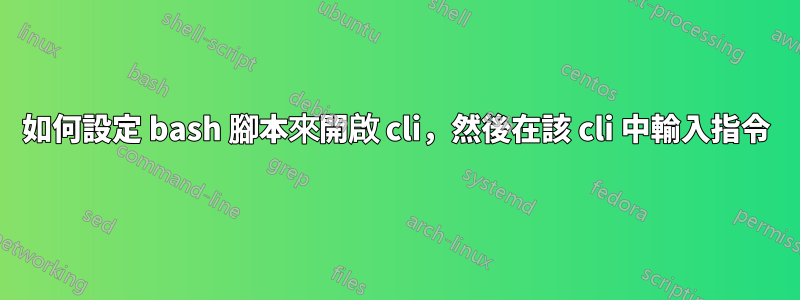 如何設定 bash 腳本來開啟 cli，然後在該 cli 中輸入指令