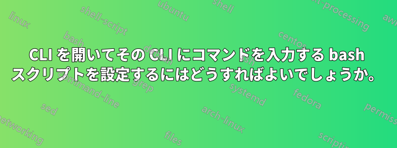 CLI を開いてその CLI にコマンドを入力する bash スクリプトを設定するにはどうすればよいでしょうか。