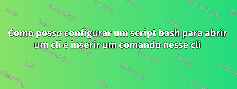 Como posso configurar um script bash para abrir um cli e inserir um comando nesse cli