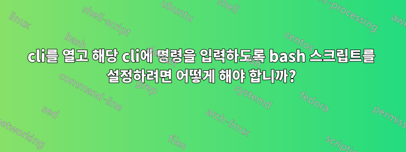 cli를 열고 해당 cli에 명령을 입력하도록 bash 스크립트를 설정하려면 어떻게 해야 합니까?