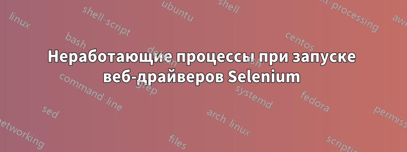 Неработающие процессы при запуске веб-драйверов Selenium