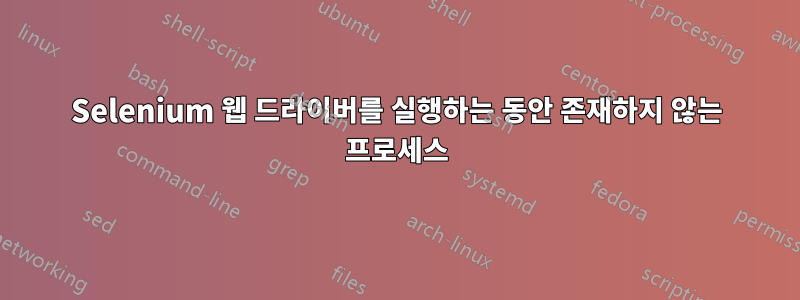 Selenium 웹 드라이버를 실행하는 동안 존재하지 않는 프로세스