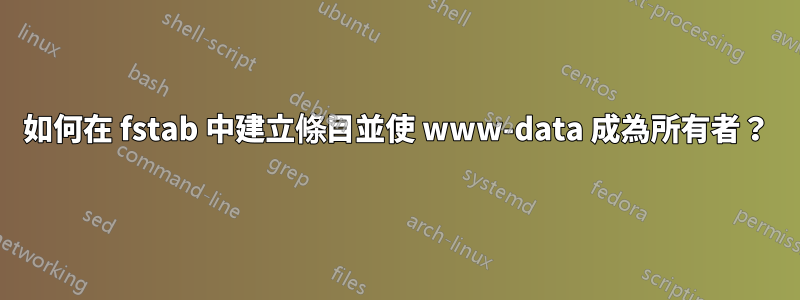 如何在 fstab 中建立條目並使 www-data 成為所有者？