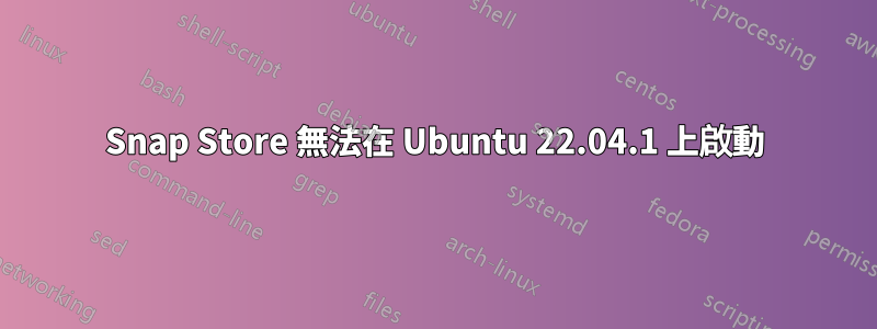 Snap Store 無法在 Ubuntu 22.04.1 上啟動