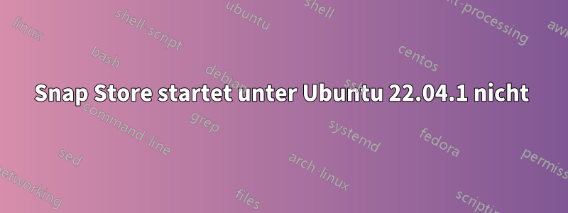 Snap Store startet unter Ubuntu 22.04.1 nicht