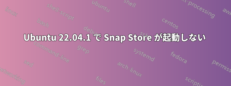 Ubuntu 22.04.1 で Snap Store が起動しない