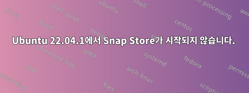 Ubuntu 22.04.1에서 Snap Store가 시작되지 않습니다.