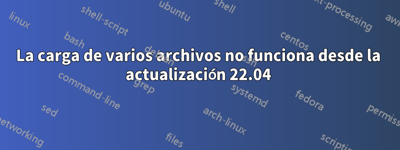 La carga de varios archivos no funciona desde la actualización 22.04