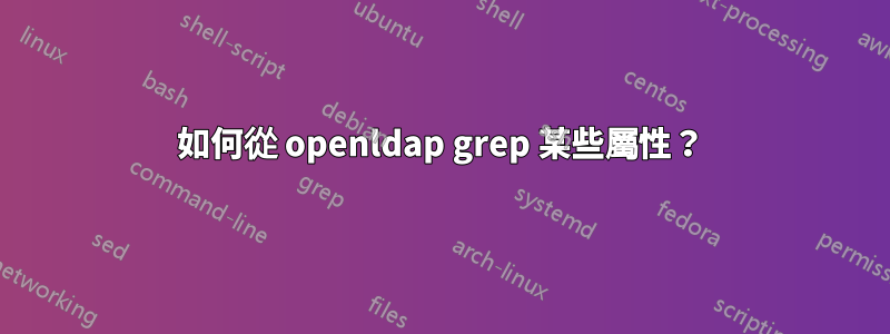 如何從 openldap grep 某些屬性？