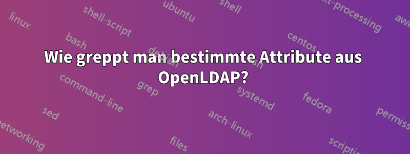 Wie greppt man bestimmte Attribute aus OpenLDAP?