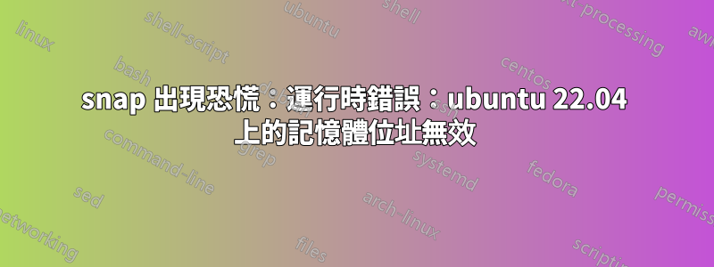 snap 出現恐慌：運行時錯誤：ubuntu 22.04 上的記憶體位址無效