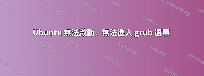 Ubuntu 無法啟動，無法進入 grub 選單