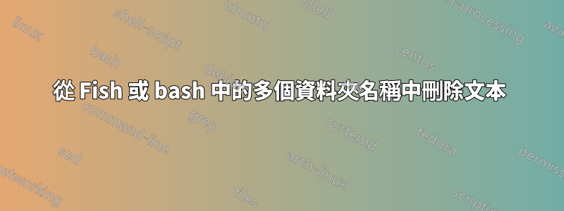 從 Fish 或 bash 中的多個資料夾名稱中刪除文本