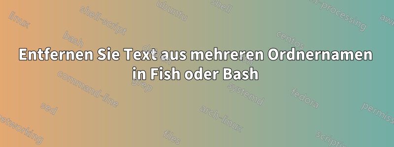 Entfernen Sie Text aus mehreren Ordnernamen in Fish oder Bash